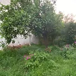 L'incognita San Nicolo d'Arcidano
