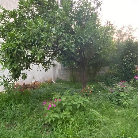 L'incognita San Nicolo d'Arcidano