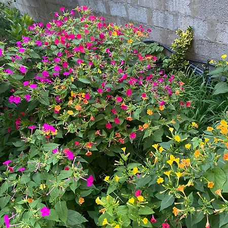 Bed & Breakfast L'incognita San Nicolo d'Arcidano